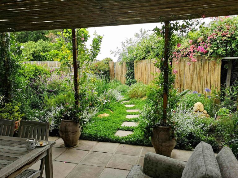 IMG 20181103 090018 768x576