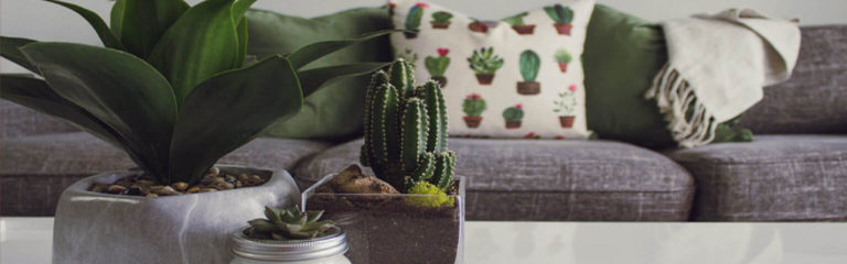 homepage size 768x240