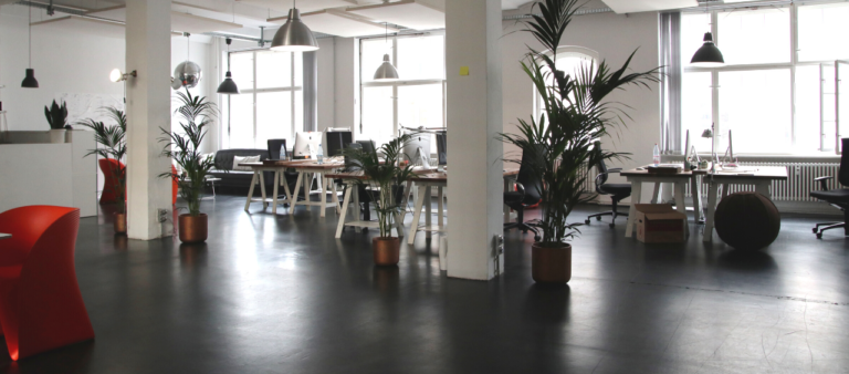 Bizco Offices 1 768x338