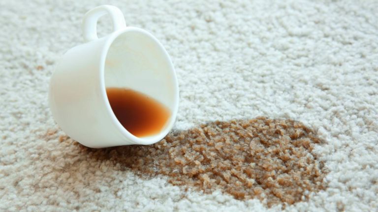 Carpet Cleaning Services 768x432