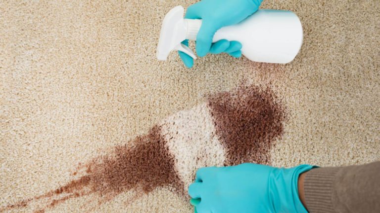 Environmentally Friendly Carpet Cleaning 1 768x432