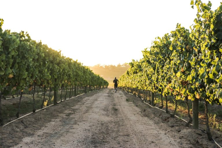 277460986 465644348680754 3673738033908799497 n 768x512