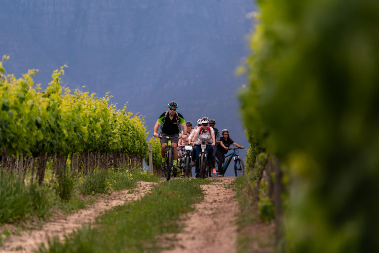 BikesNWines DevT SonyA7iii FullRes 5 1 768x512