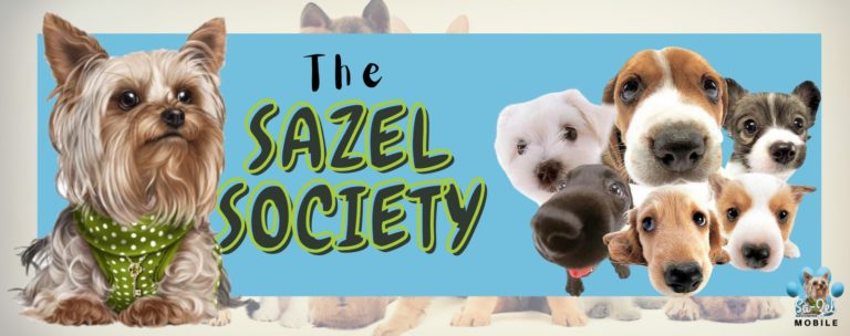 Sazel SLiders 3 768x304