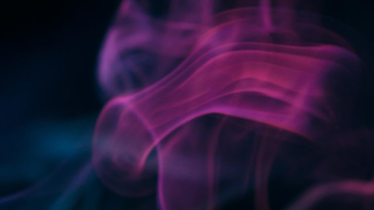 hollywoodbets login hero 768x432