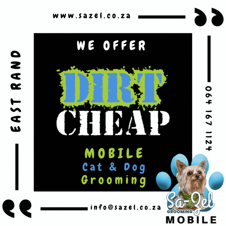 info@sazel.co .za 064 167 1124 768x768