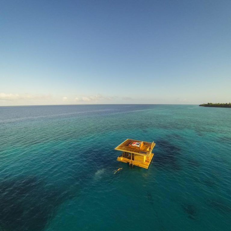 38072498 1091717554310891 7462592778736762880 n 768x768