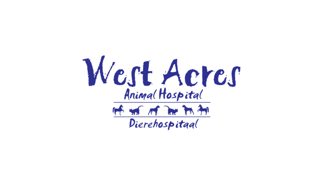 West Acres Animal Hospital 1