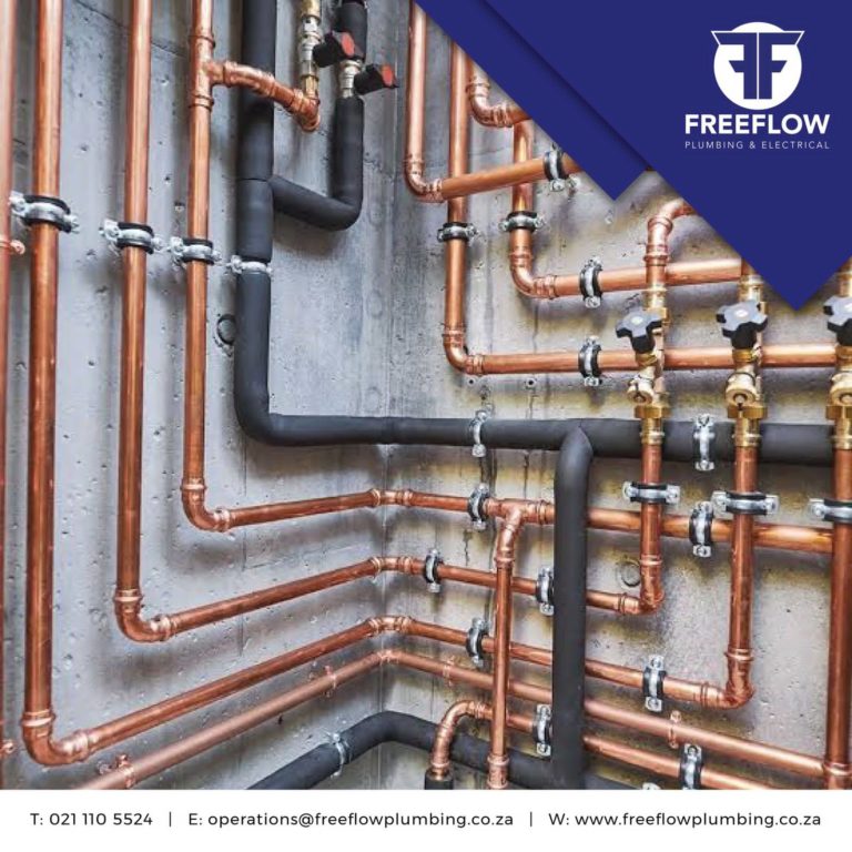 IMG 20210819 WA0008 768x768