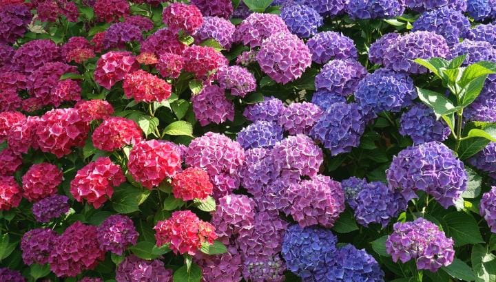 123025893 100542005198212 8851819624925355738 n