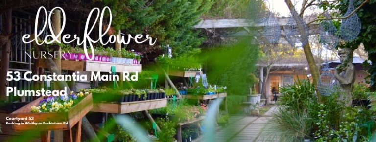 297390173 191731979958586 8153784650951226120 n 768x292