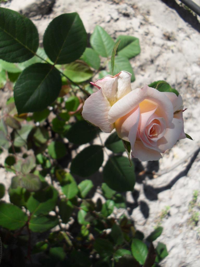 300761777 150682500907096 4424001398847413712 n