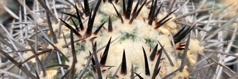 Volle lenkte 3 min 768x256