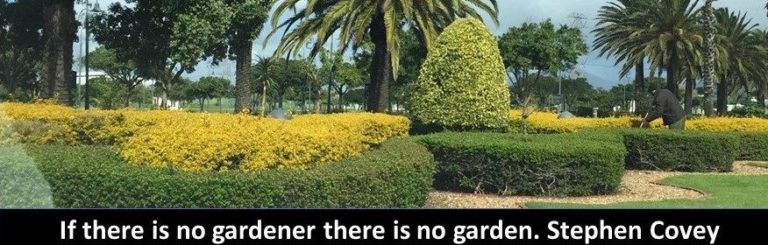 cropped presentation1 1 1 768x245