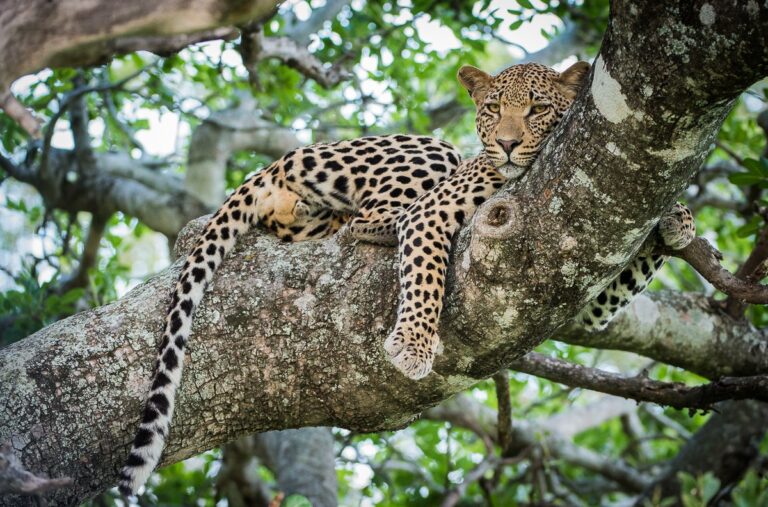 122034718 190953592574695 9102200477533985997 n 768x507