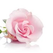 152361403 198722425374981 6479597544222858996 n