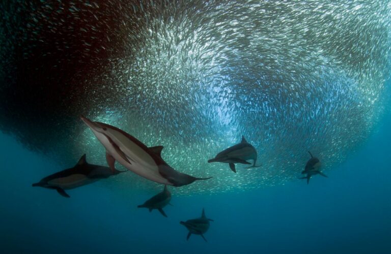 281548050 5530627156956040 8147972726569883218 n 768x500