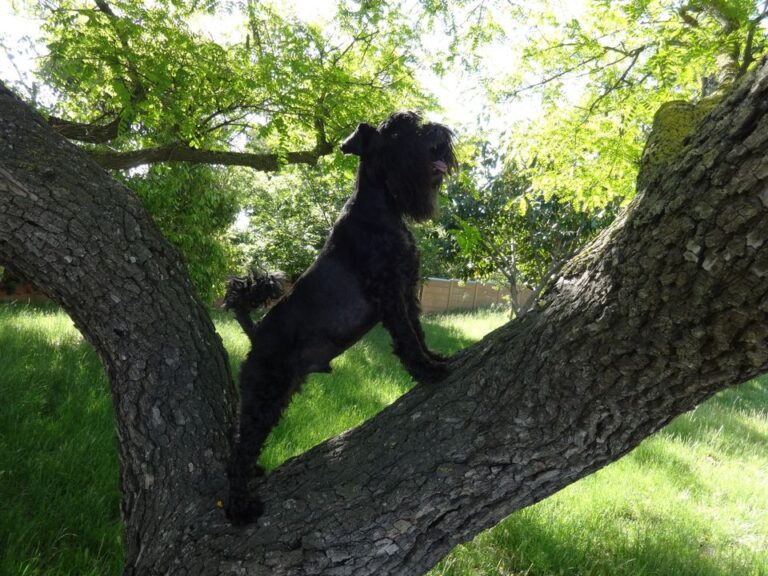 309098304 3595573164059869 3944913331115735207 n 768x576