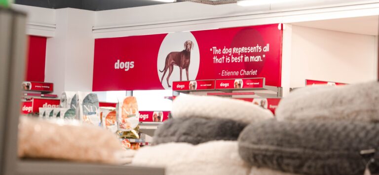 309418591 5412363248884378 4034022503471407271 n 768x355