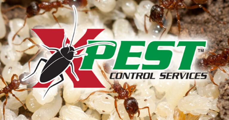 Pest Control Solutions2 1 768x403