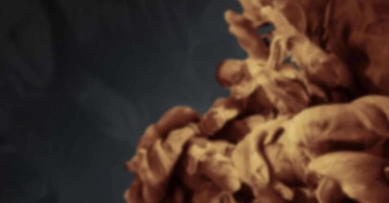 sean viljoen freelance designer johannesburg hero image og 768x401