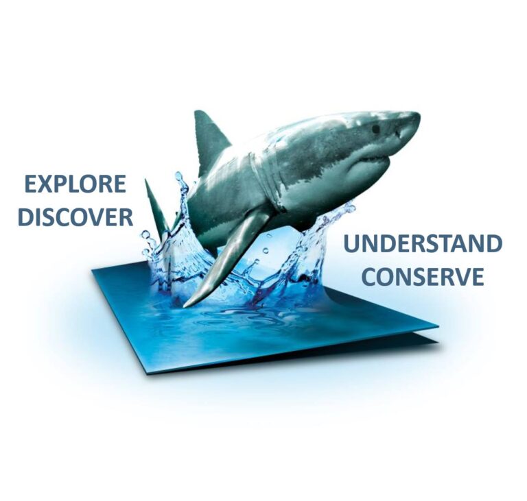 43047857 10155648298132665 230550945346355200 n 768x731