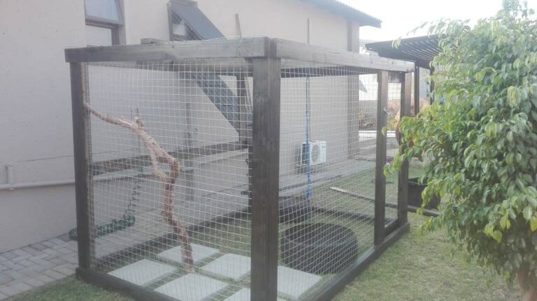 IMG 20191208 WA0001 768x431