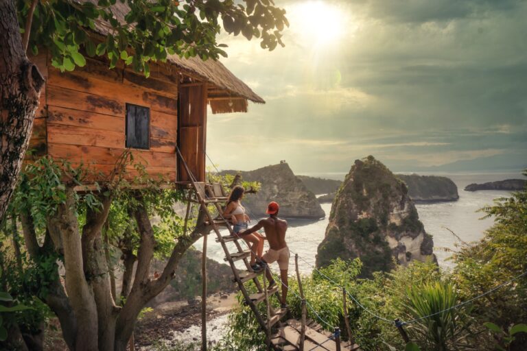 Tree House Tree House