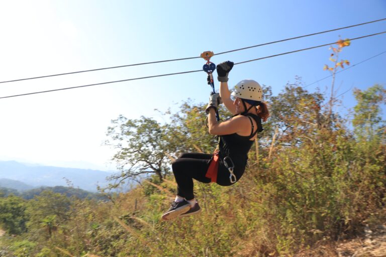 Zip Lines Zip Lines