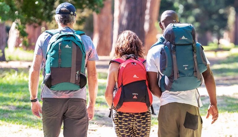 297077231 184711723926634 426051944805949819 n 768x443