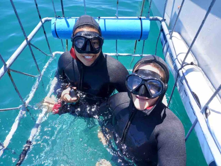 sharklady adventures female divers in cage web 768x576