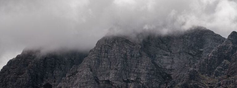 317625029 5783097621754952 4708534734392936055 n 768x285