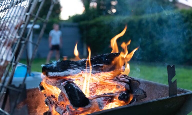 Braai wood 1 768x463