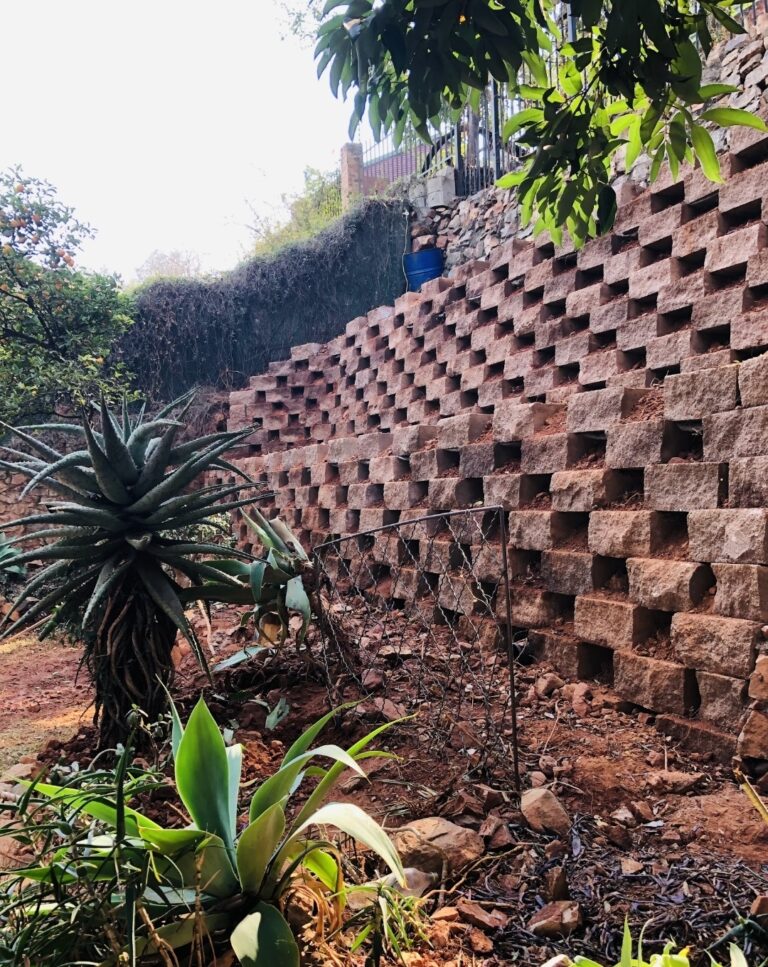 RemRock Open 768x967