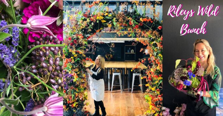 47681919 209509223316745 3390964606762483712 n 768x402