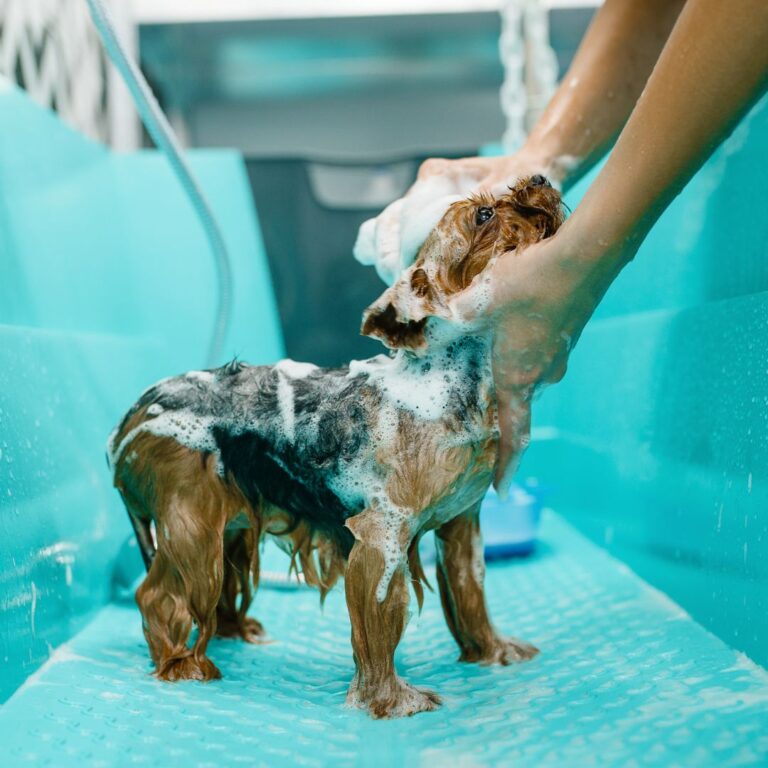 Course Creator Laptop iphone mockup instagram post 1 768x768