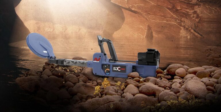 SDC2300 1900X962 2 2 768x389