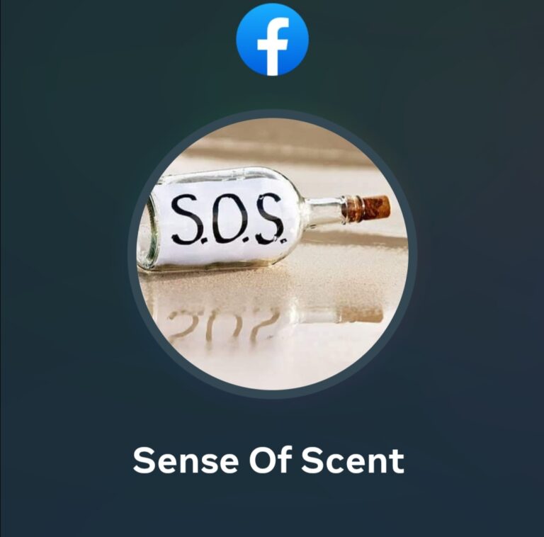 Screenshot 20230313 132332 768x758