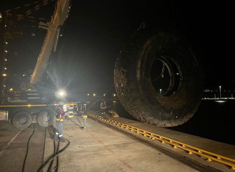 WhatsApp Image 2022 11 13 at 2.47.44 PM 768x563