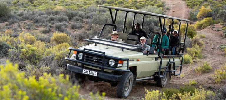 images banners game drive 900 768x340