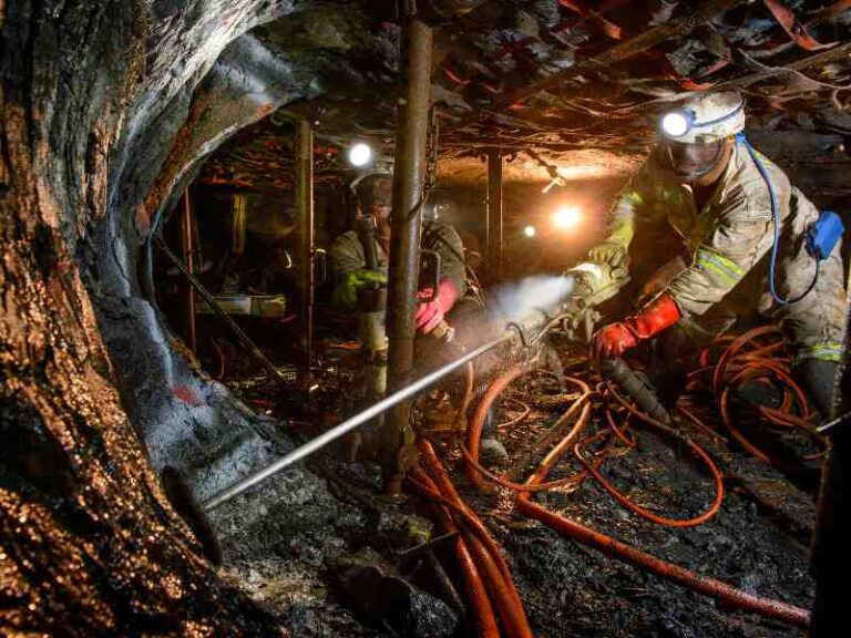 Safety fatalities 768x576