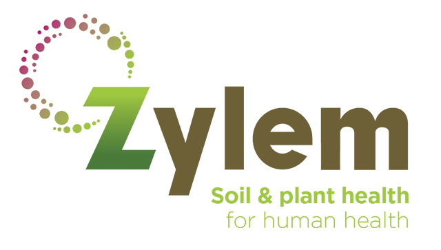 Zylem Pty Ltd 1