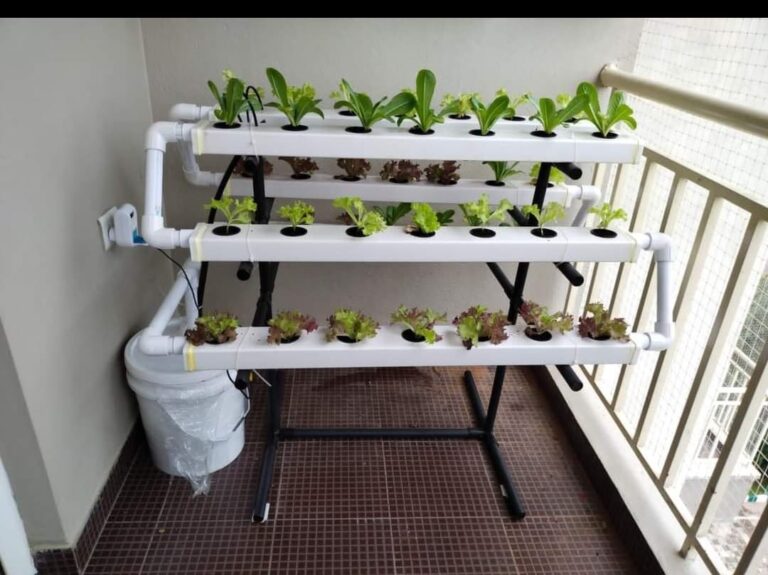 IMG 20220923 WA0020 768x575