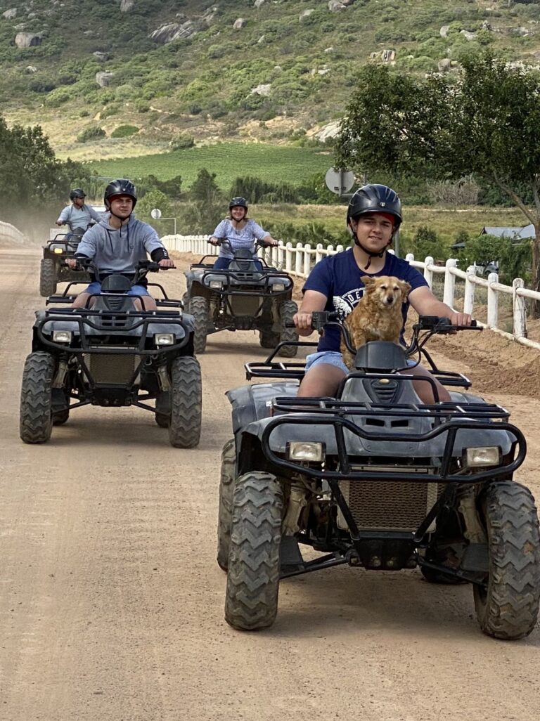 IMG 2976 20191103094057 768x1026