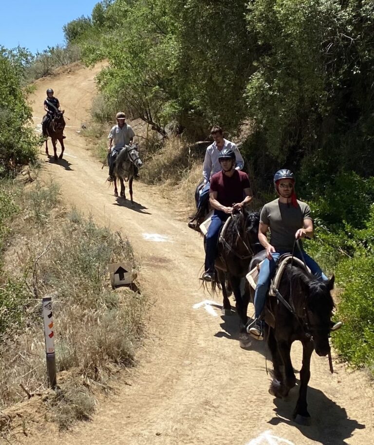 IMG 3552 20191114125901 768x914