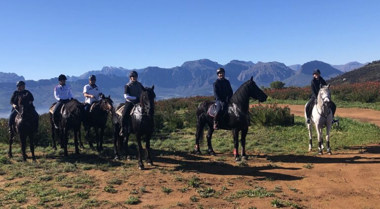 IMG 7552 20190810105227 768x422