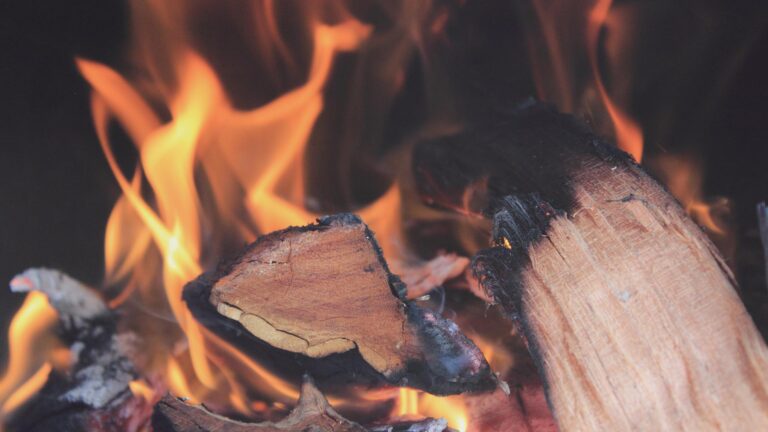 braai wood supplier table view 768x432