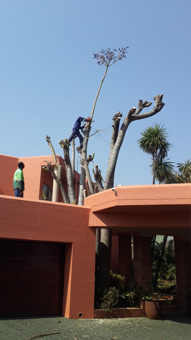 additional additional