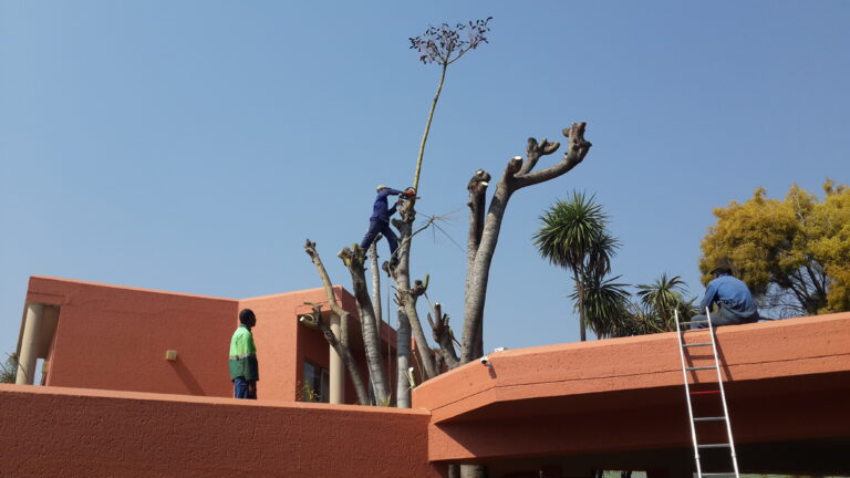 additional additional