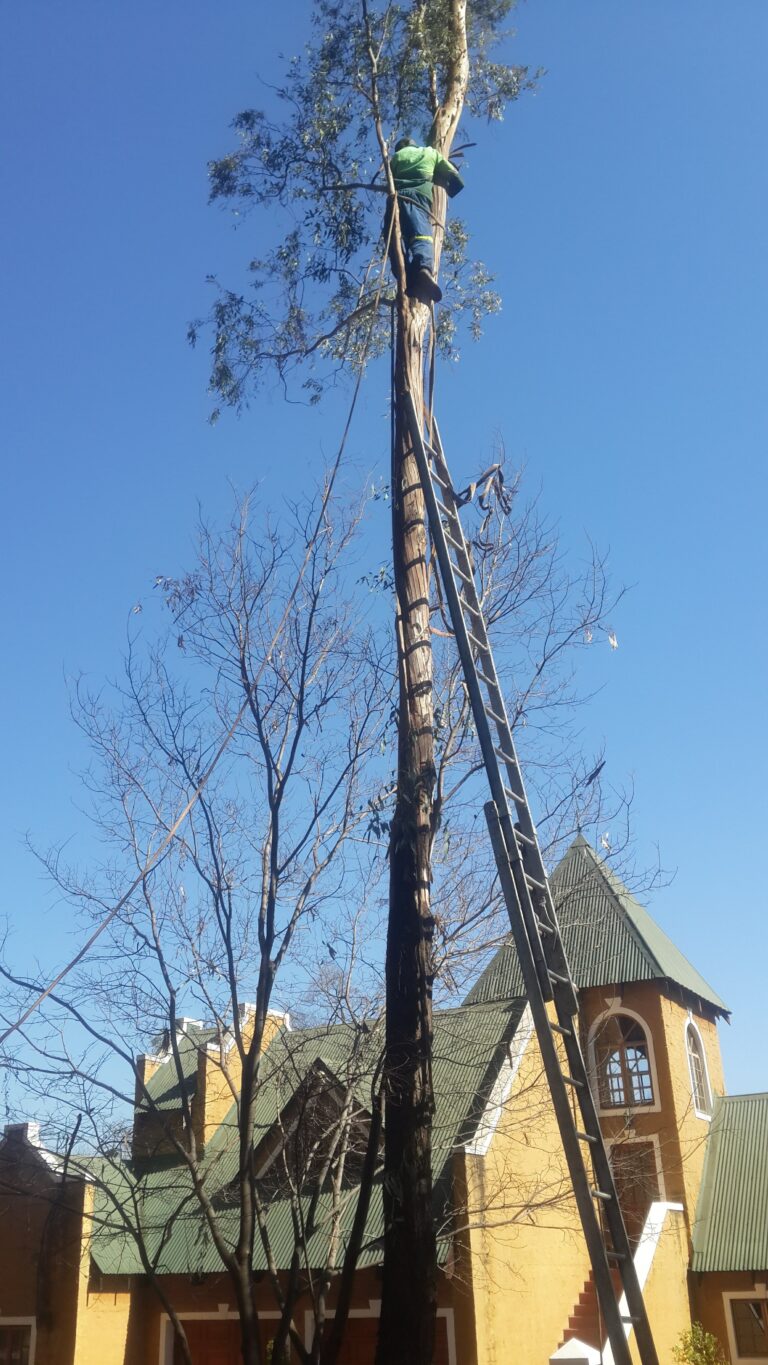 additional additional